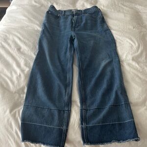 Everlane Blue High Rise Jeans with Raw Hem